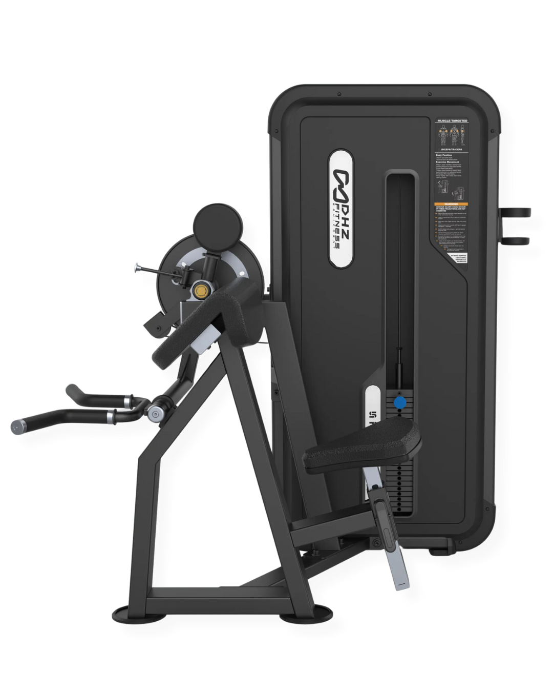 CAMBER CURL & TRICEPS