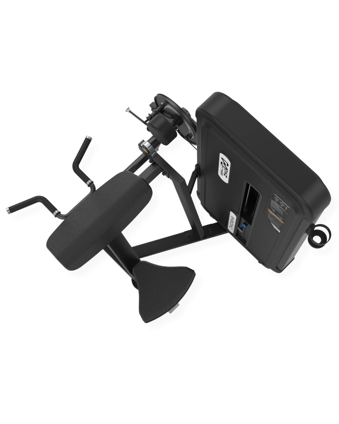 CAMBER CURL & TRICEPS