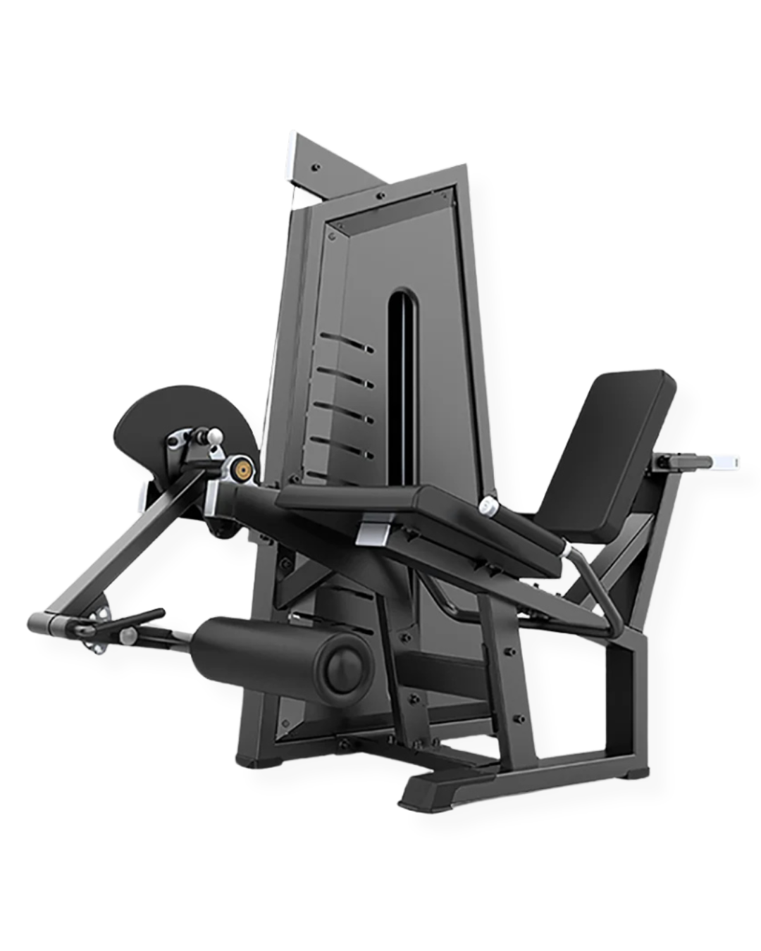 LEG EXTENSION
