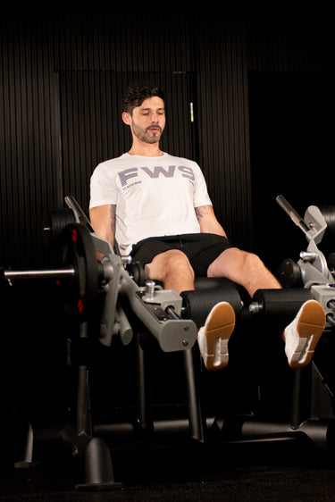 Alternate Leg Extension