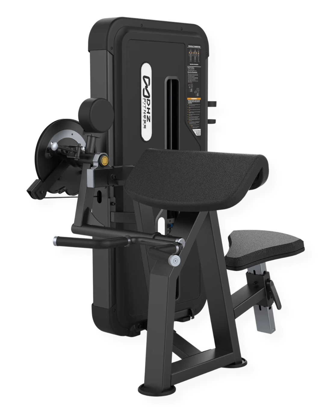 CAMBER CURL & TRICEPS