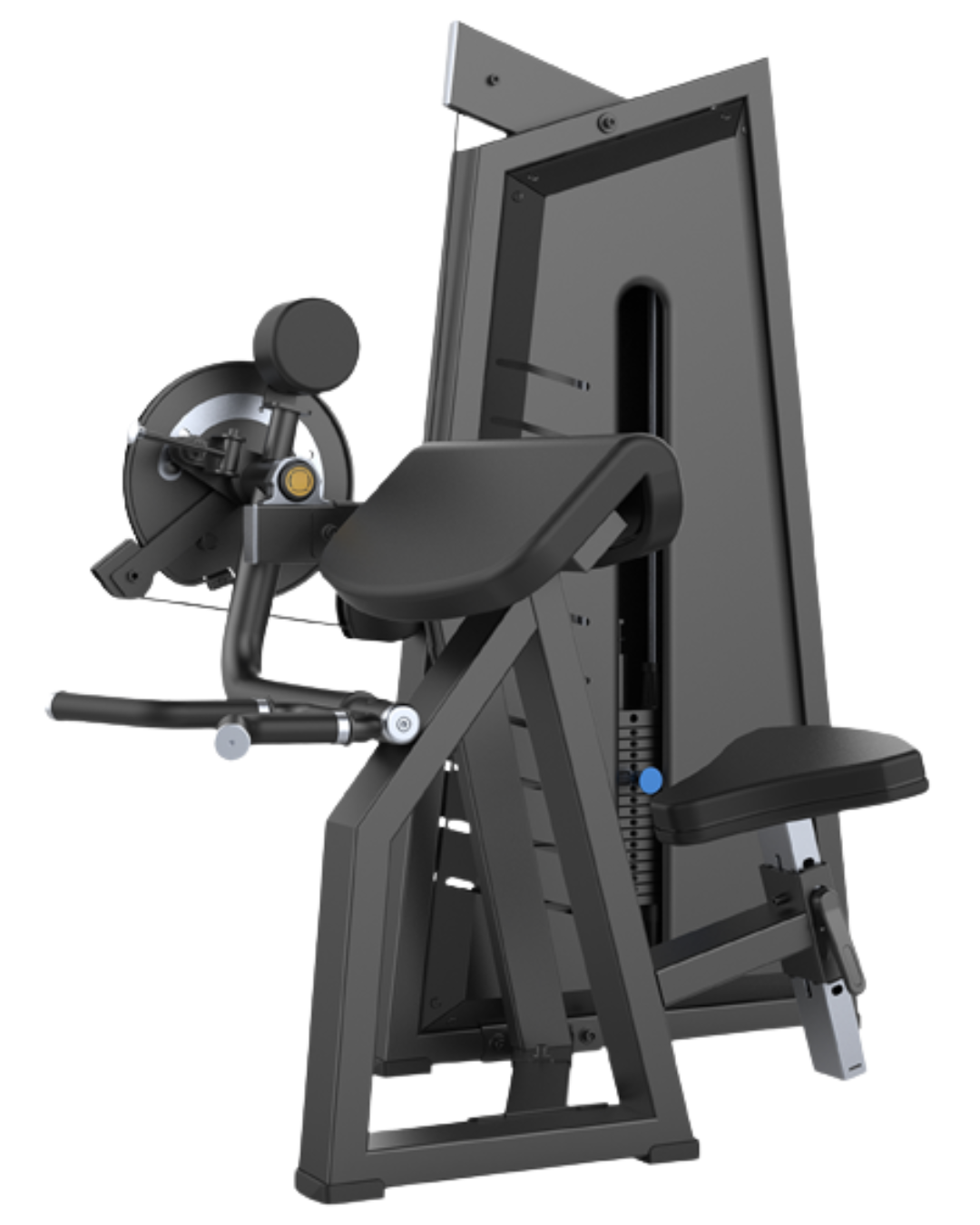 CAMBER CURL & TRICEPS