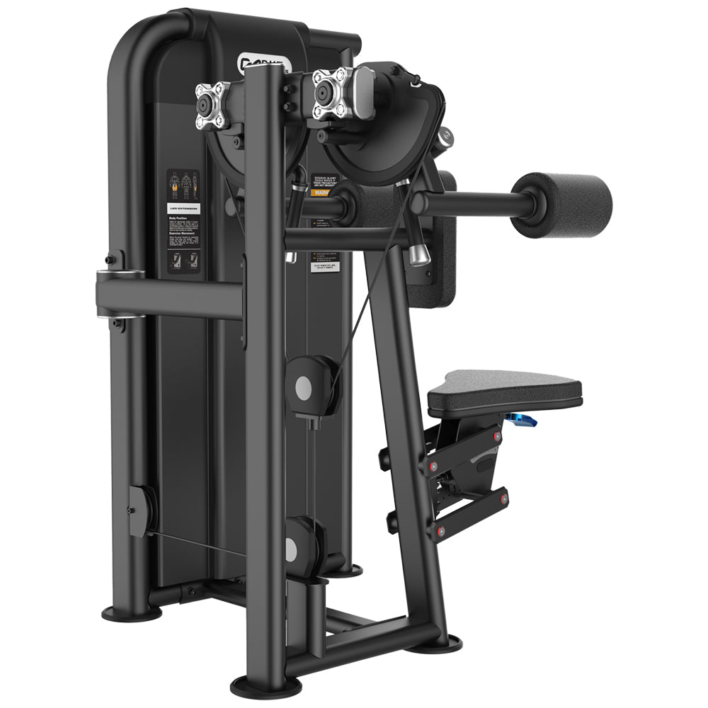 Equipo para Gimnasio - Lateral Raise- Fit With Nine