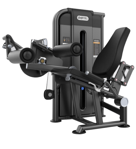 Leg Extension & Leg Curl